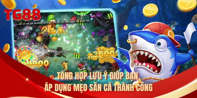 Tổng hợp lưu ý giúp bạn áp dụng mẹo săn cá thành công